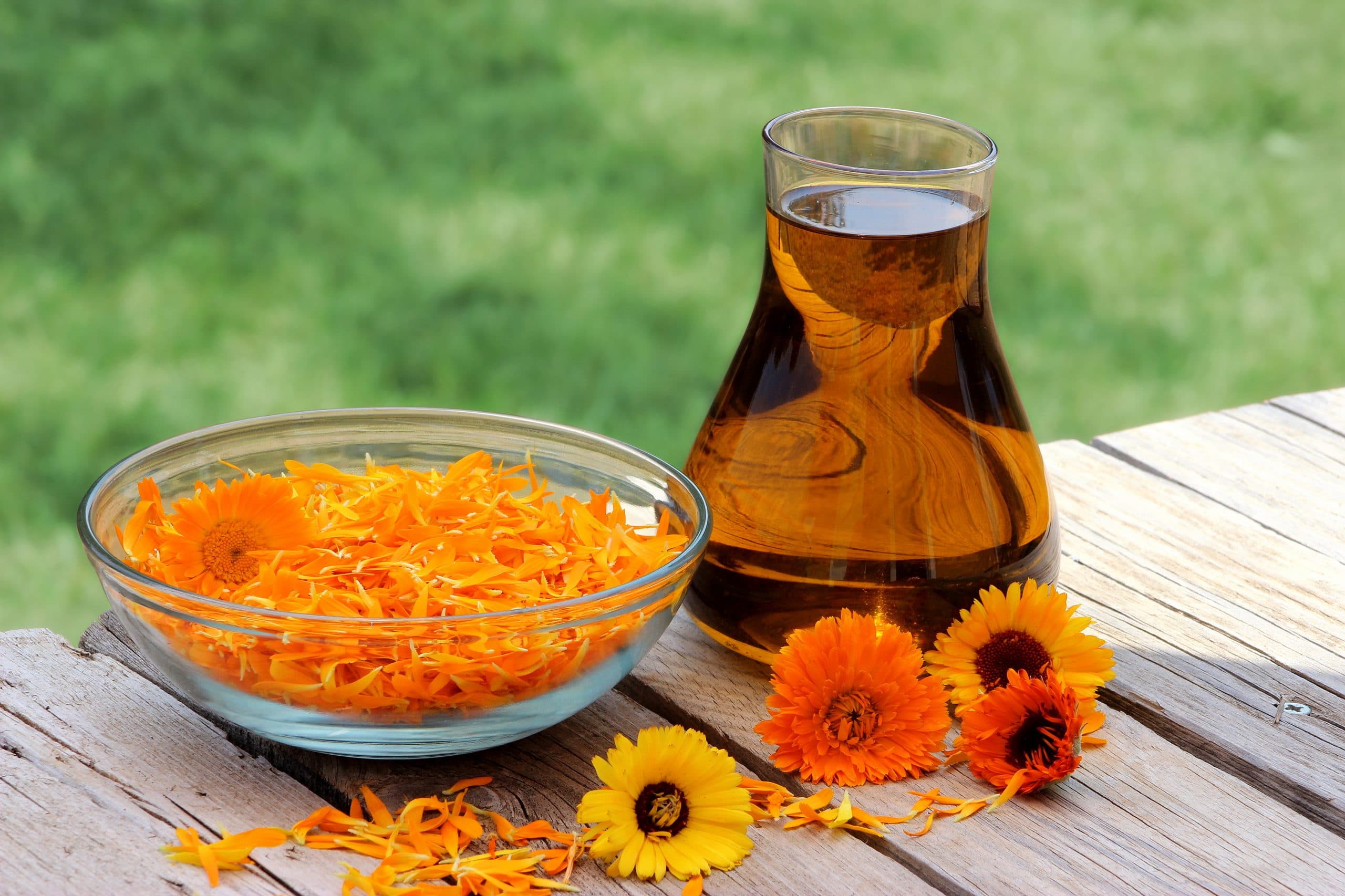 Calendula Oil: Health Benefits, Nutrition and More